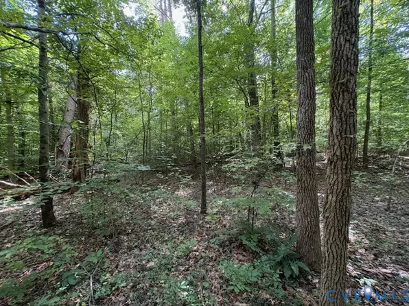 0 Roundabout Rd, Louisa, VA 23093