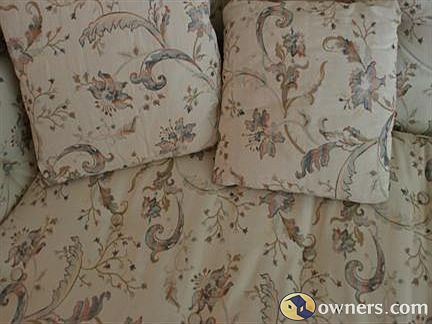 Floral Sofa - $200
