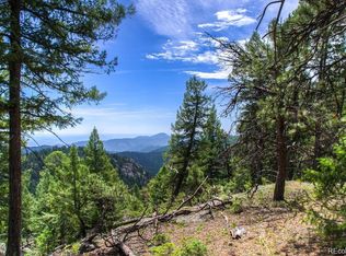 8775 S Doubleheader Ranch Rd, Morrison, CO 80465