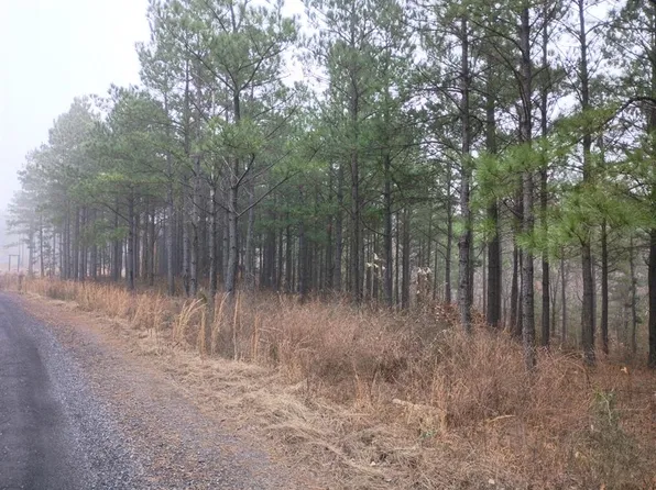 460 Timberline Trl Lot 23, Broken Bow, OK 74728
