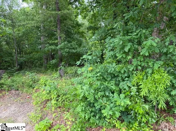 0 Brook Glenn Rd, Taylors, SC 29687
