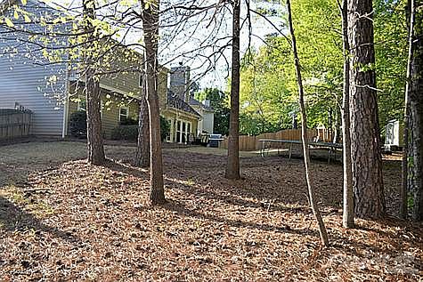 Great Back Yard