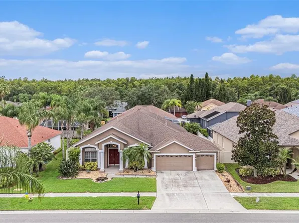 10019 Oxford Chapel Dr, Tampa, FL 33647