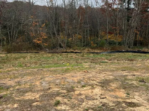 209 Holly Ln, Fancy Gap, VA 24328