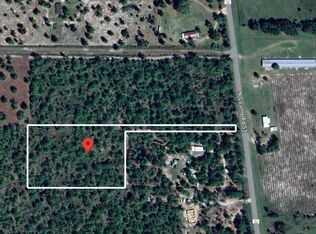 53 Vacant Cr Crk, Lee, FL 32059