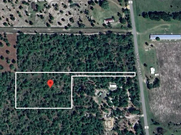 53 Vacant Cr Creek, Lee, FL 32059