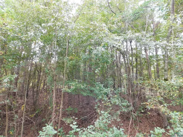 Locust Rd, Big Sandy, TX 75755