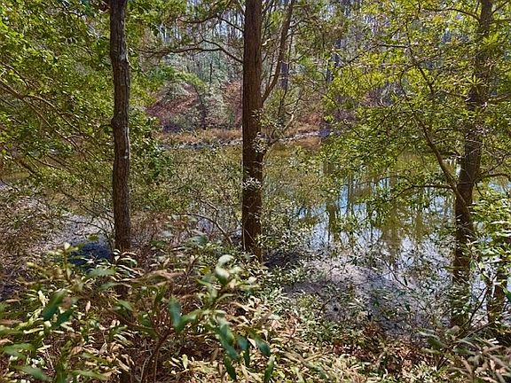 2nd image of 24 Bermuda Rd