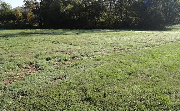 5th image of 185 Saddle Club Ln