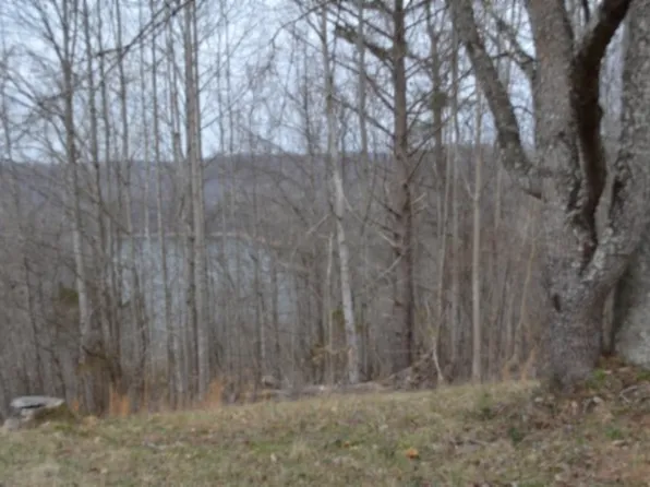 0 Fox Hill Rd Lot 4 & 5, Baxter, TN 38544