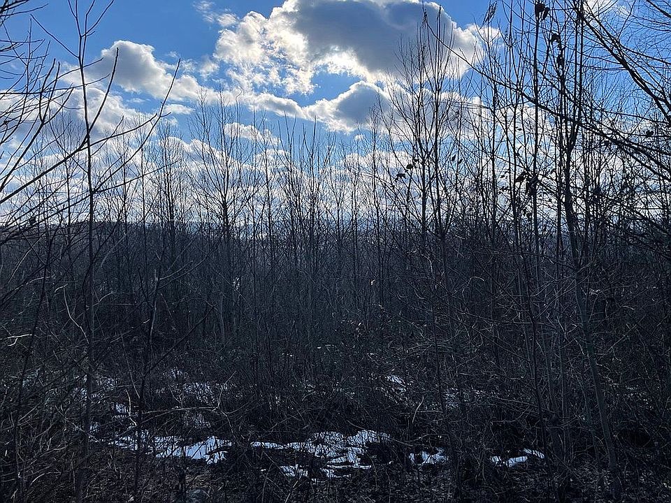 2nd image of 4598 Yorks Run Rd