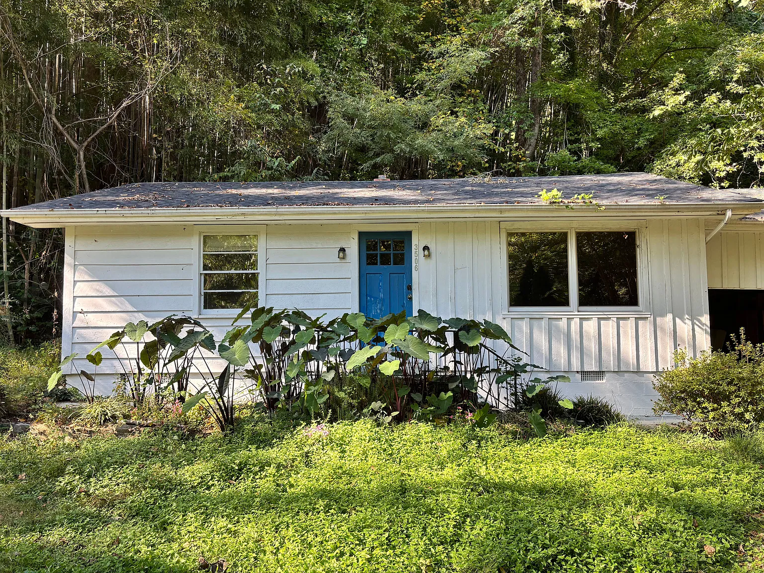 2 bed, $995 — Photo 1