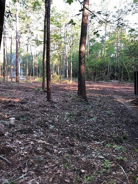 2nd image of 11879 Heather Dells Ln