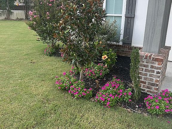 3rd image of 202 Ridgecrest Dr