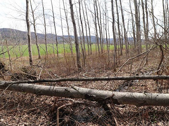 3rd image of 600 Woods Road South