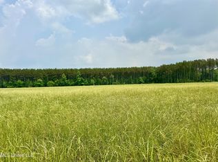 1 Stump Bridge Rd, Canton, MS 39046