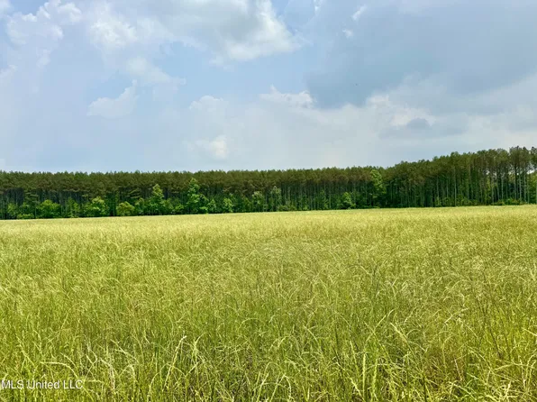 1 Stump Bridge Rd, Canton, MS 39046