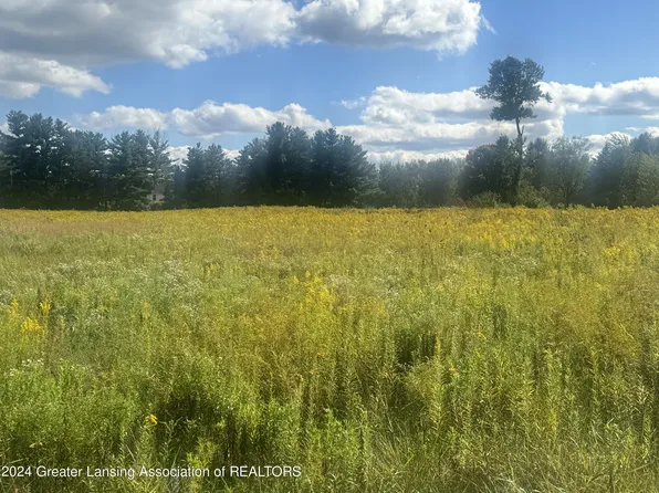 0 Dietz Rd, Williamston, MI 48895