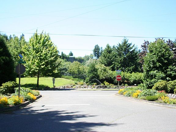 view from yard