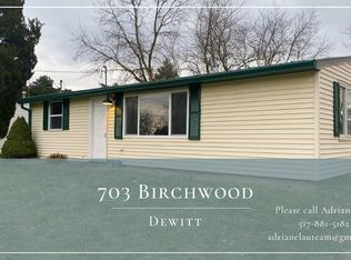 703 Birchwood St, Dewitt, MI 48820
