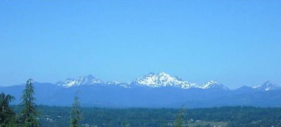 View from Living Room