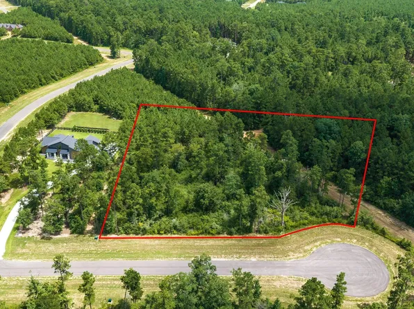 15808 Integrity Dr, Willis, TX 77378