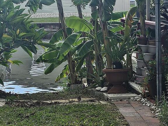 back side with banana trees