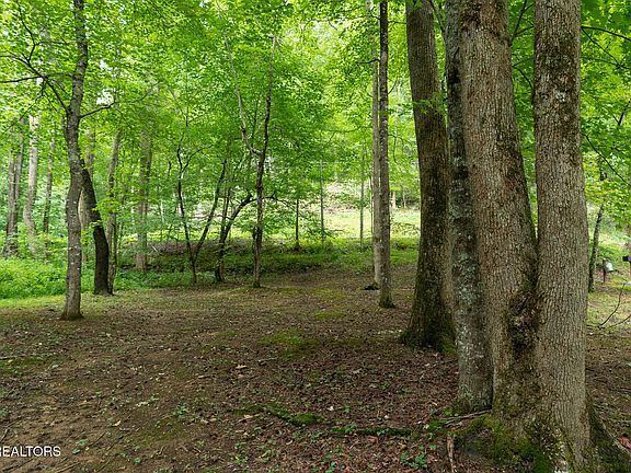 3rd image of 3905 Fern Brook Way