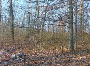 50577 Elm St, Grand Junction, MI