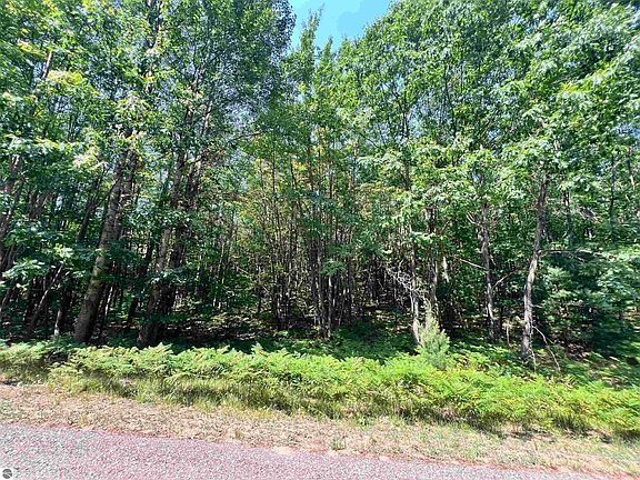 4th image of LOT 60 Bramblewood Dr
