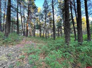 195 Spring Ln, Bayfield, CO 81122