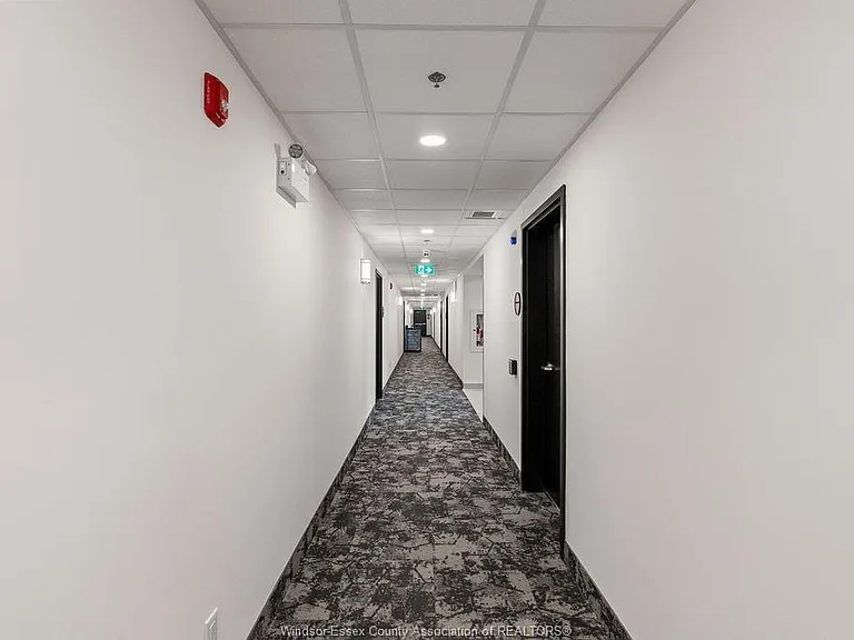11646 Tecumseh Rd E #201 — Photo 7