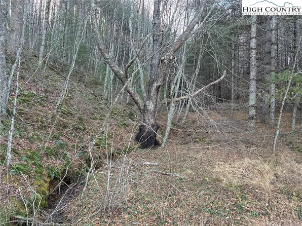 TBD Old Highway 16 Highway, Grassy Creek, NC 28631