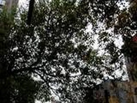 Rented by Prince Real Estate Associates LLC | media 36