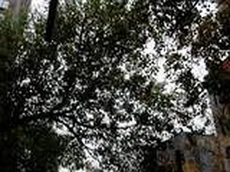 Rented by Prince Real Estate Associates LLC