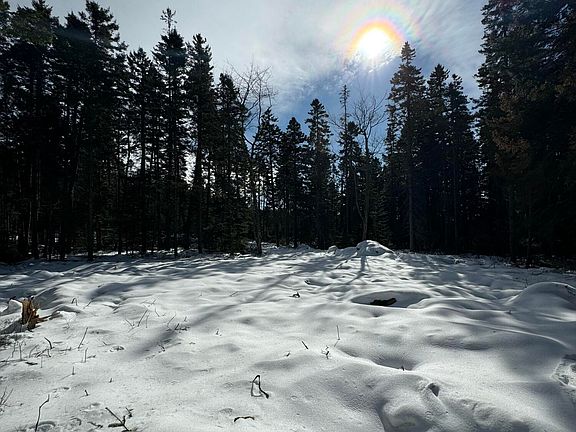 5th image of 12 Jamestown Road