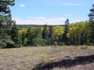 789 Duckworth Dr, Fort Garland, CO 81133