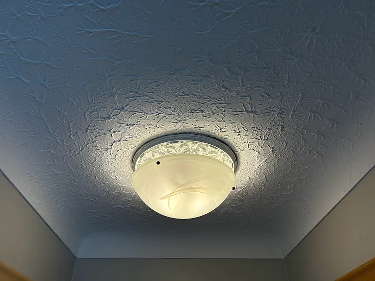 Classic cove ceiling in living room provides a touch of elegance and style
