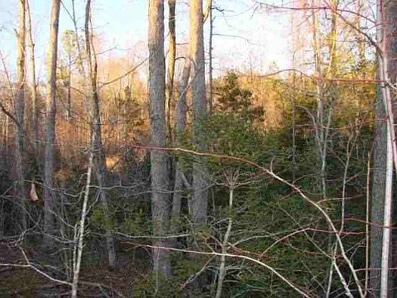 4th image of TBD Pine Grove Road