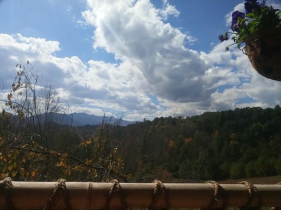 View from deck