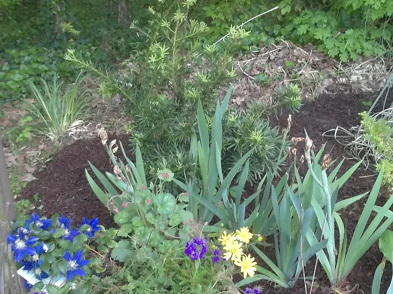 6283 Hardwood Ct — Photo 19