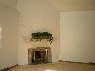 Cathedral Ceiling LR w/Fireplace