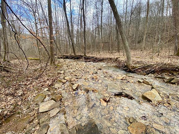 2nd image of 20 Beech Fork Rd