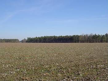 1st image of 101 West Blvd