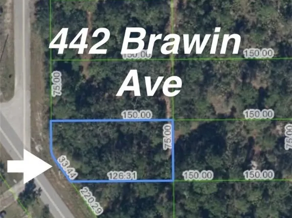 442 Brawin Ave, Lake Placid, FL 33852