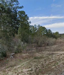 LOT 10 Softstone Dr LOT 10, Webster, FL, 33597