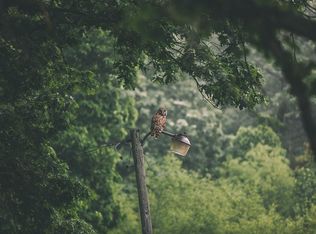 County Road 172 Rd, Bogard, MO 64622