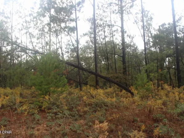 0 Cinnamon Dr Lot 116-BLK56, Marianna, FL 32448