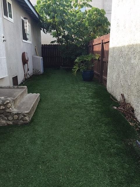 Back yard - private with turf