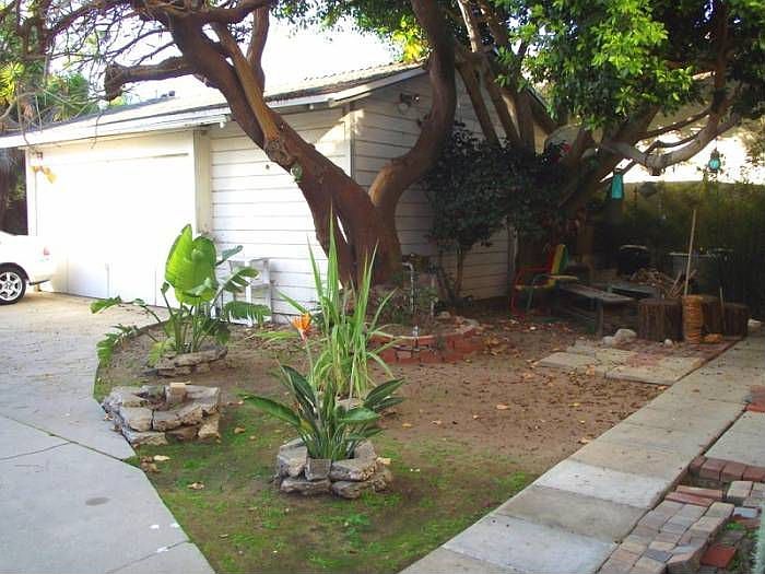 Shared Patio